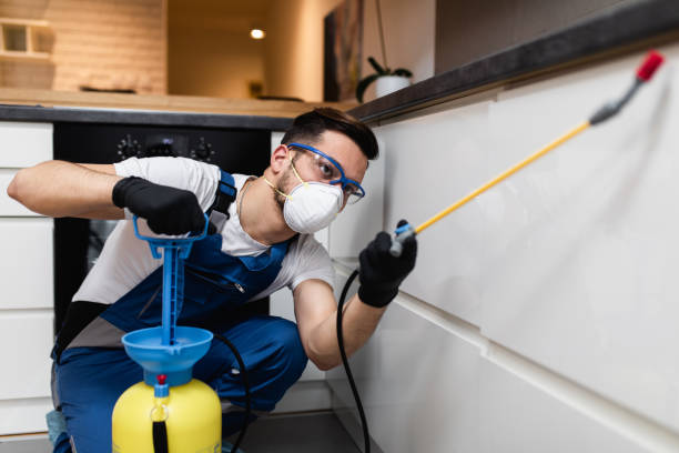 Best Affordable Pest Control Services  in Vineyard, UT