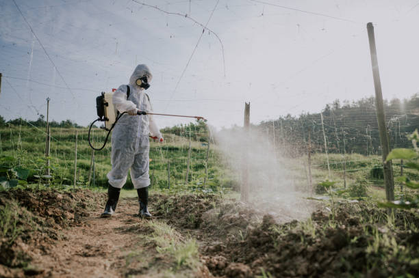 Best Termite Control Services  in Vineyard, UT