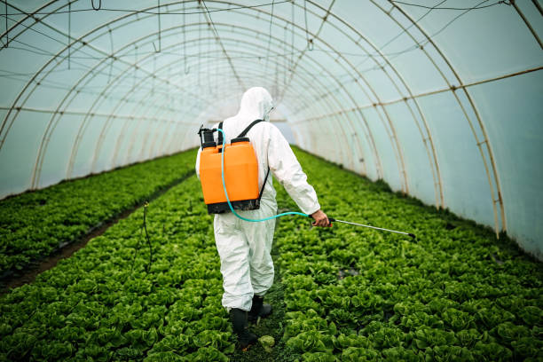 Best Local Pest Control Services  in Vineyard, UT