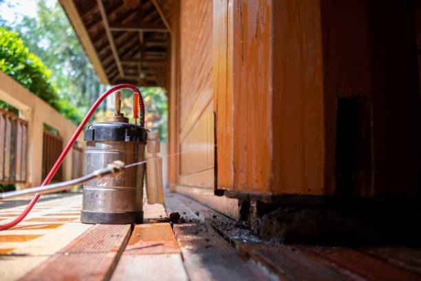Best Ant Control Services  in Vineyard, UT