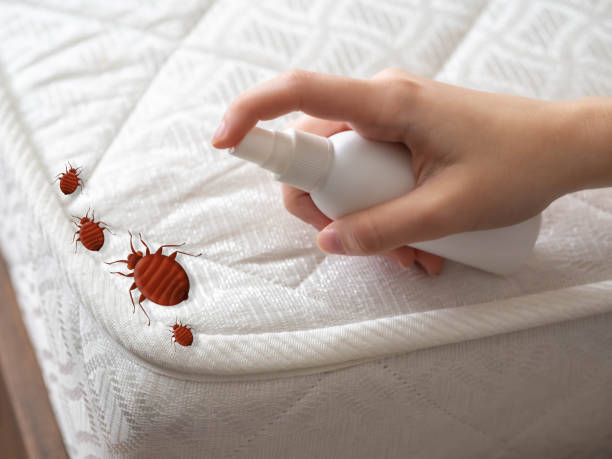 Best Insect Control  in Vineyard, UT