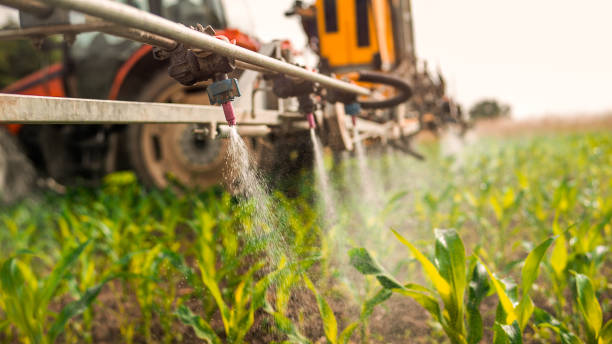Pest Prevention Services in Vineyard, UT