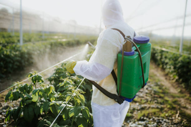 Best Emergency Pest Control  in Vineyard, UT